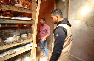 WhatsApp Image 2023-03-02 at 2.50.55 PM.jpeg