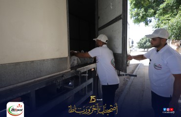 2توزيع جديد.jpg