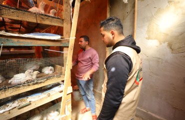 WhatsApp Image 2023-03-02 at 2.50.55 PM.jpeg